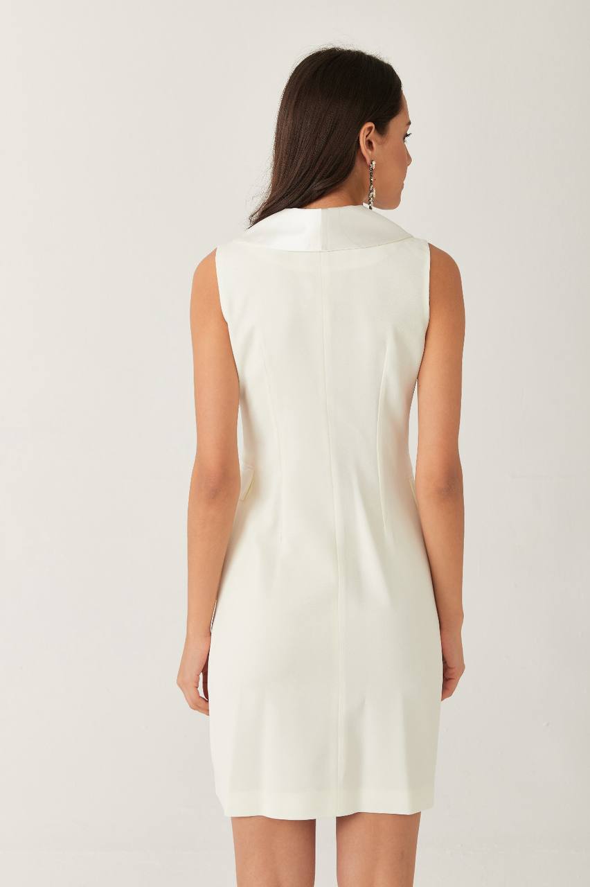 Double-Breasted Blazer Mini Dress